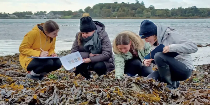 Biology Fieldwork in Portaferry
