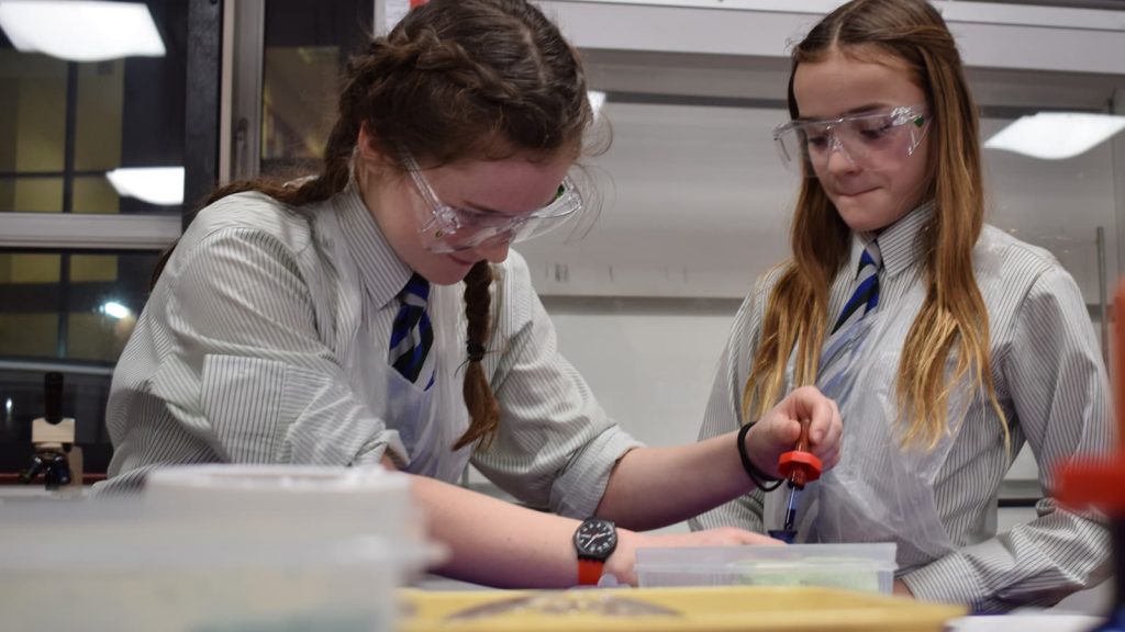 pupils in science class